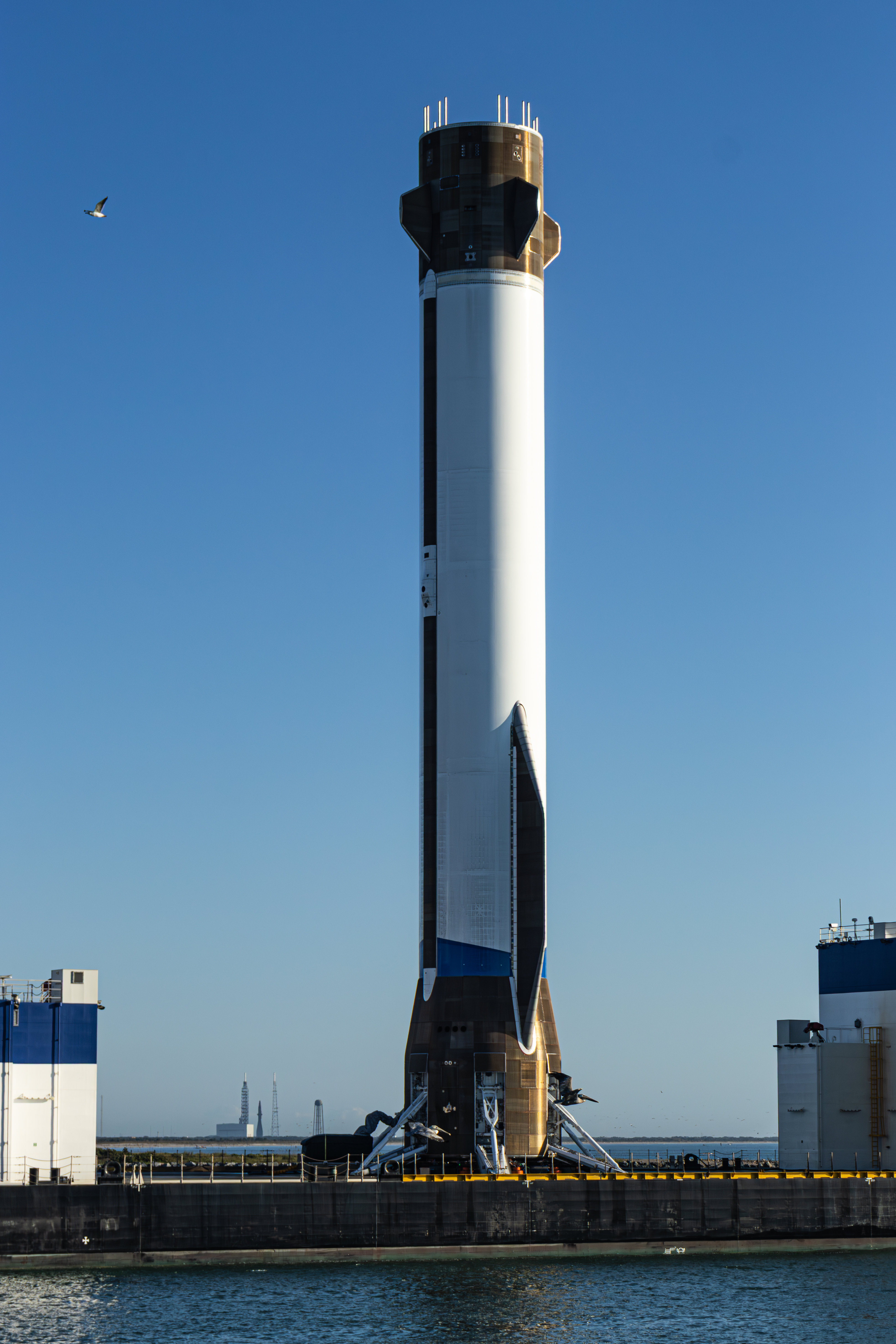 "Never Tell Me The Odds" coming back home